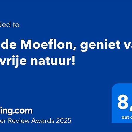 Wilde Moeflon, Geniet Van De Vrije Natuur! Отерло Екстериор снимка