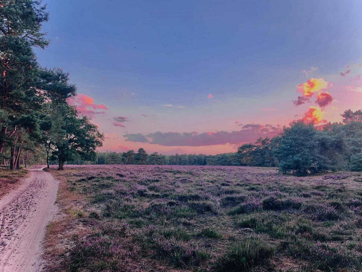 Wilde Moeflon, Geniet Van De Vrije Natuur! Отерло Екстериор снимка