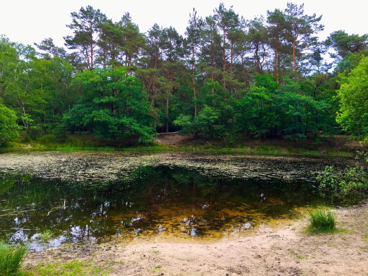 Wilde Moeflon, Geniet Van De Vrije Natuur! Отерло Екстериор снимка
