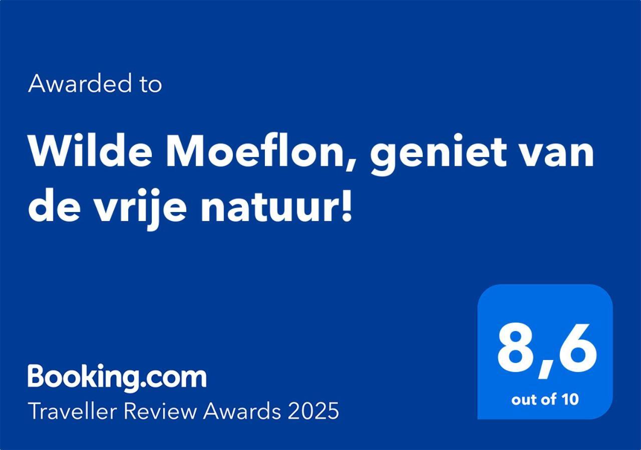 Wilde Moeflon, Geniet Van De Vrije Natuur! Отерло Екстериор снимка